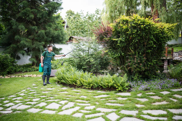 Best Mosquito Control Services  in Ardmore, PA
