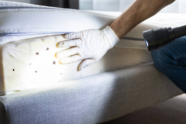 Pest Control Cost in Ardmore, PA